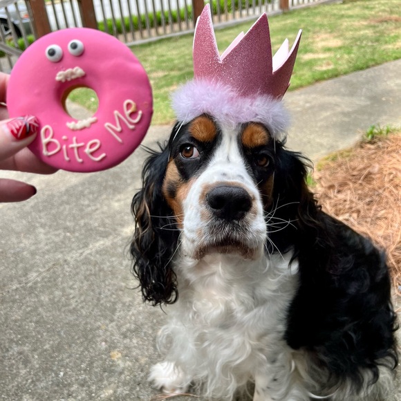 Meet your Posher, Cristy - Picture 3 of 11